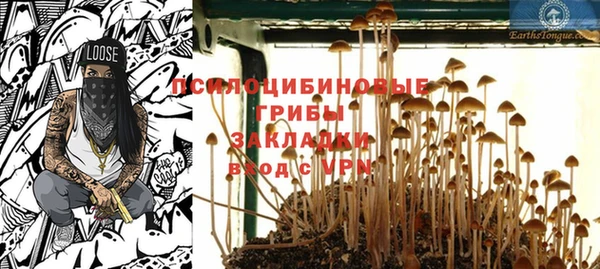 мдпв Алзамай