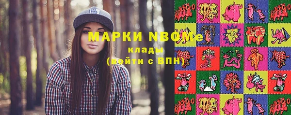 твердый Алексин